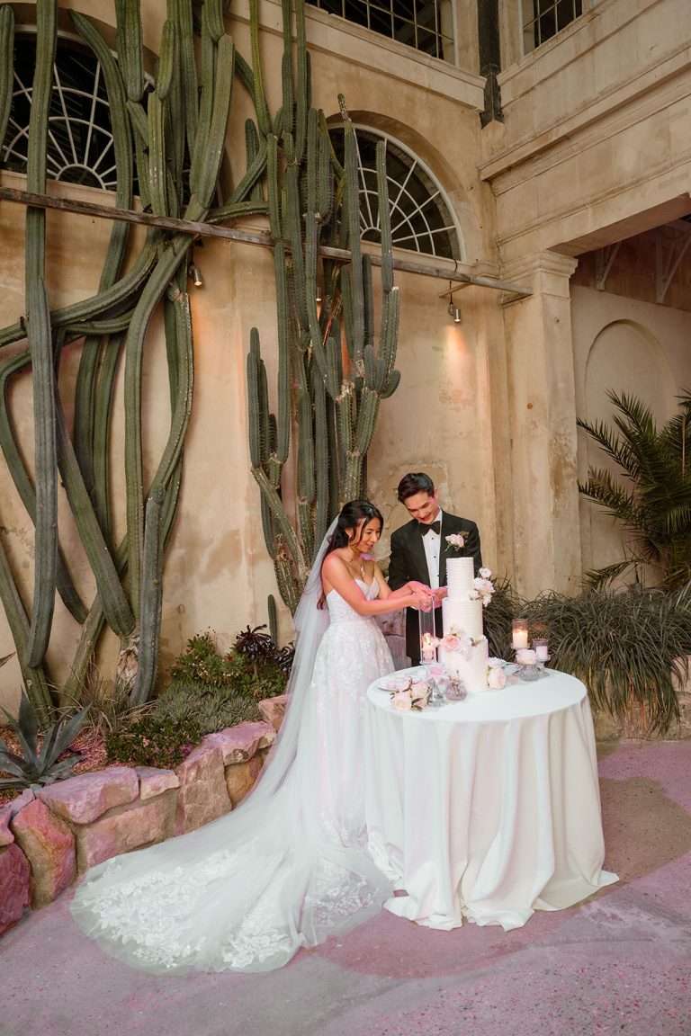 couple cutting cake at cactus room syon park